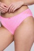 PrimaDonna Madison Rio Briefs